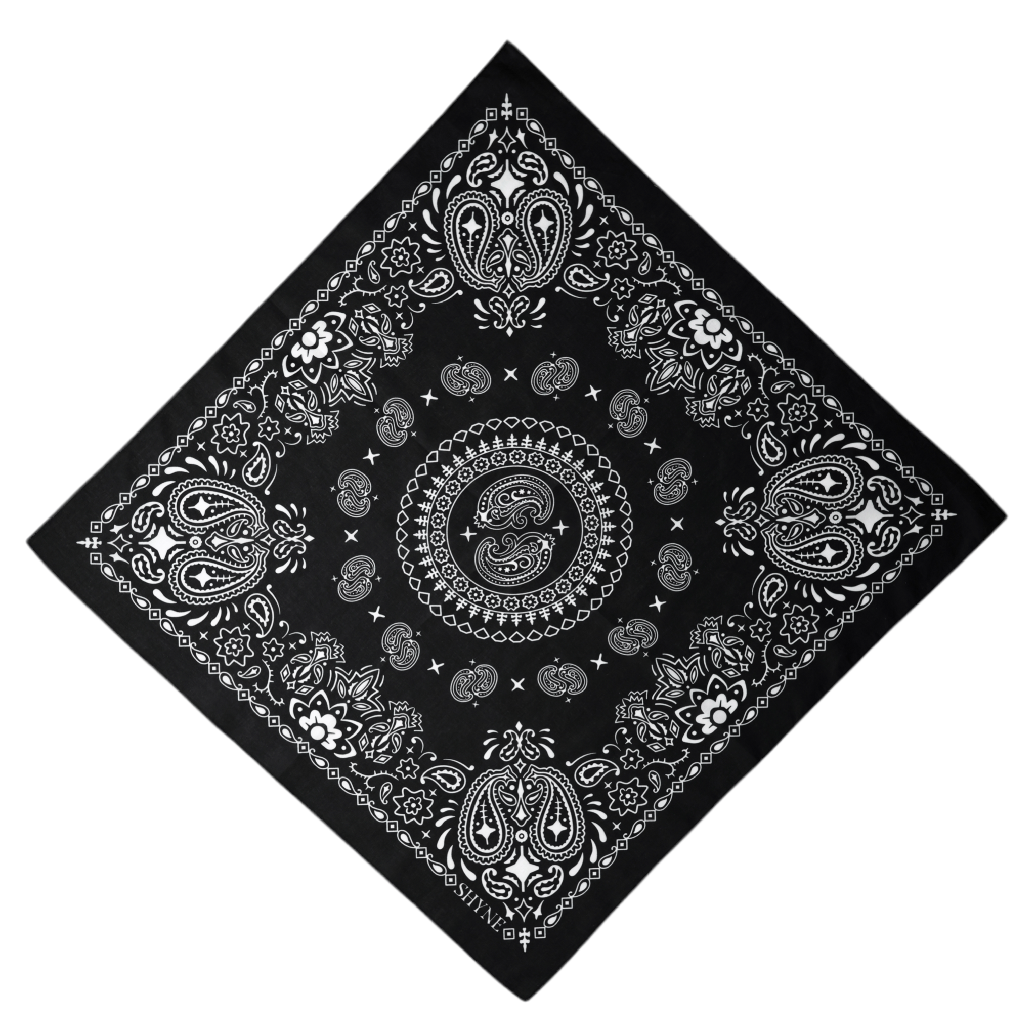 Paisley Bandana