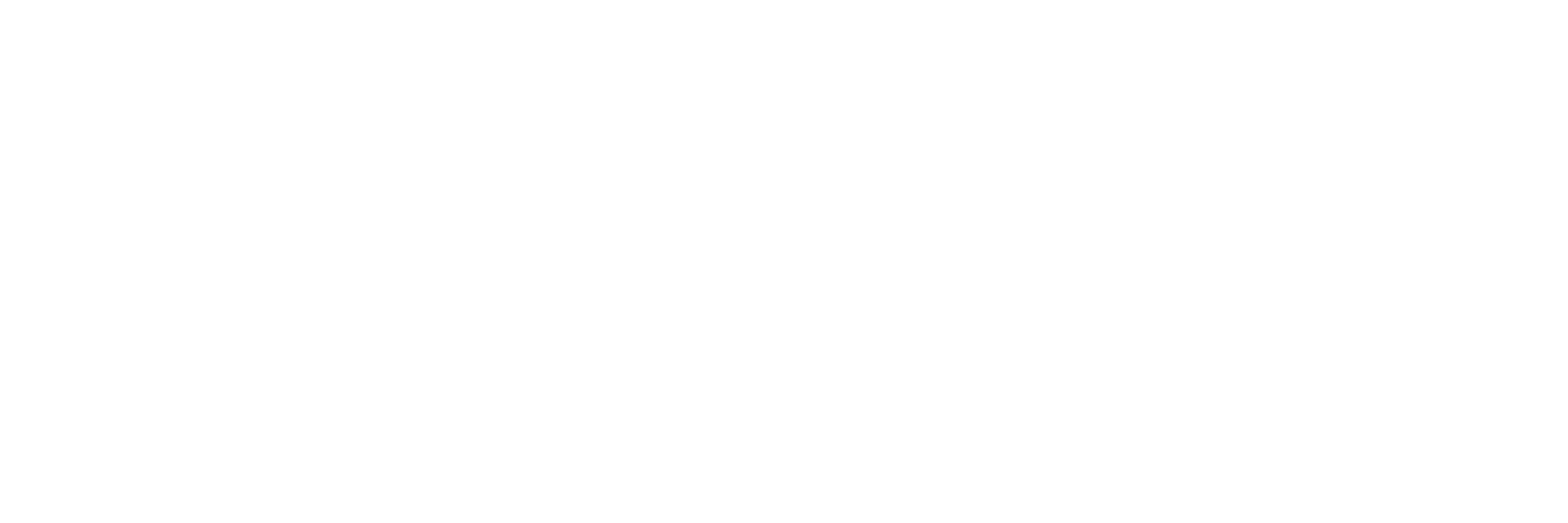 SHYNE logo